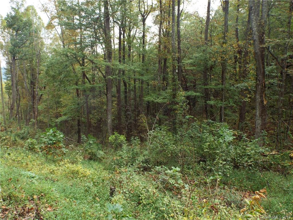 000 Bearwallow Mountain Rd., Hendersonville, NC 28792