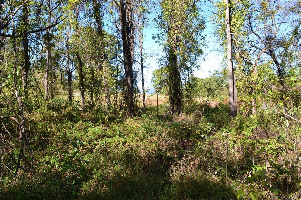 344 Upper Grassy Branch Rd., Asheville, NC 28805