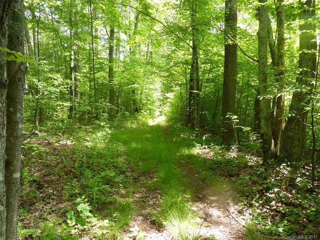 TBD Running Bear Rd., Hot Springs, NC 28743