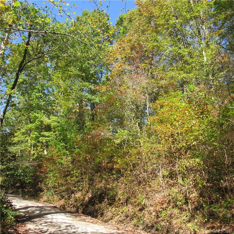 0000 Pinners Cove Rd. #8, Asheville, NC 28803