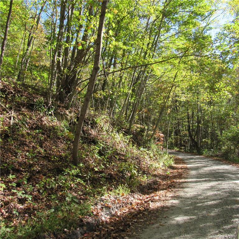 0000 Pinners Cove Rd. #9, Asheville, NC 28803