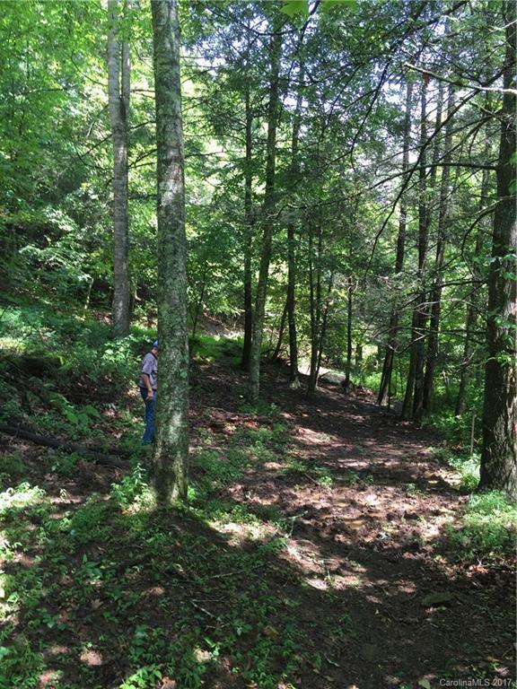 000 Hoot Owl Hollow, Fairview, NC 28730