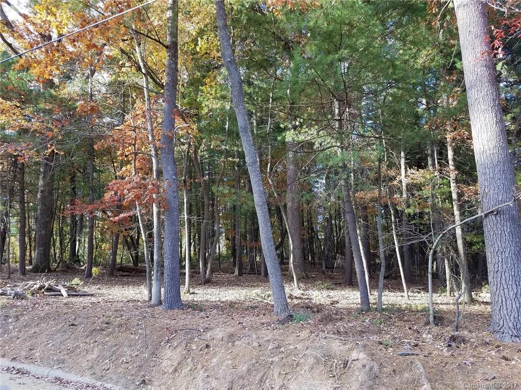 Toms Hill Dr. #38 & 39, Hendersonville, NC 28739