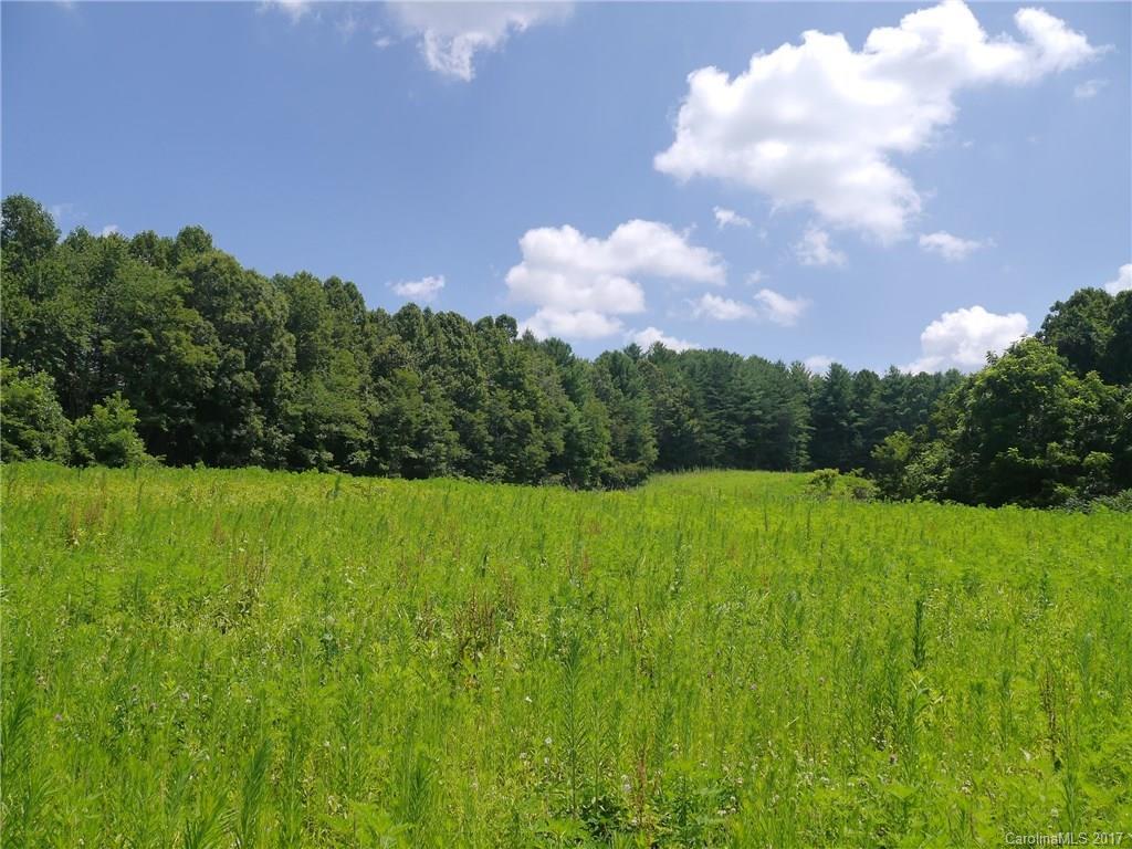 TBD 15+/- Acres Stepp Mill Rd., Hendersonville, NC 28792