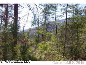 41 Palmer Pl., Lake Lure, NC 28746