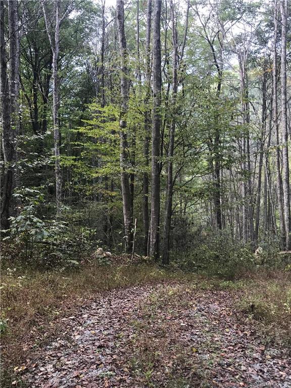 149 -0 Gentry Rd., Hot Springs, NC 28743