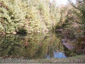 120 Thunder Road #L/120, Brevard, NC 28712