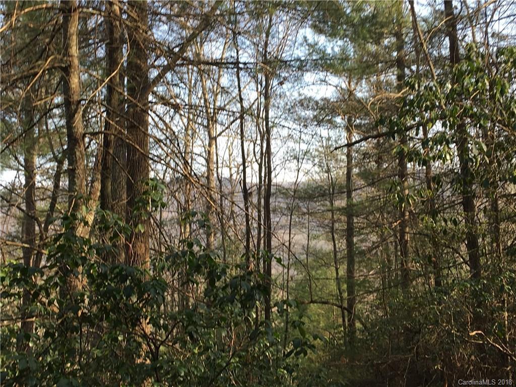 819 Pridmore Hollow Rd., Hendersonville, NC 28739