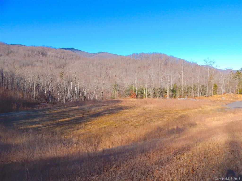 Balsam Lookout Ln., Waynesville, NC 28786