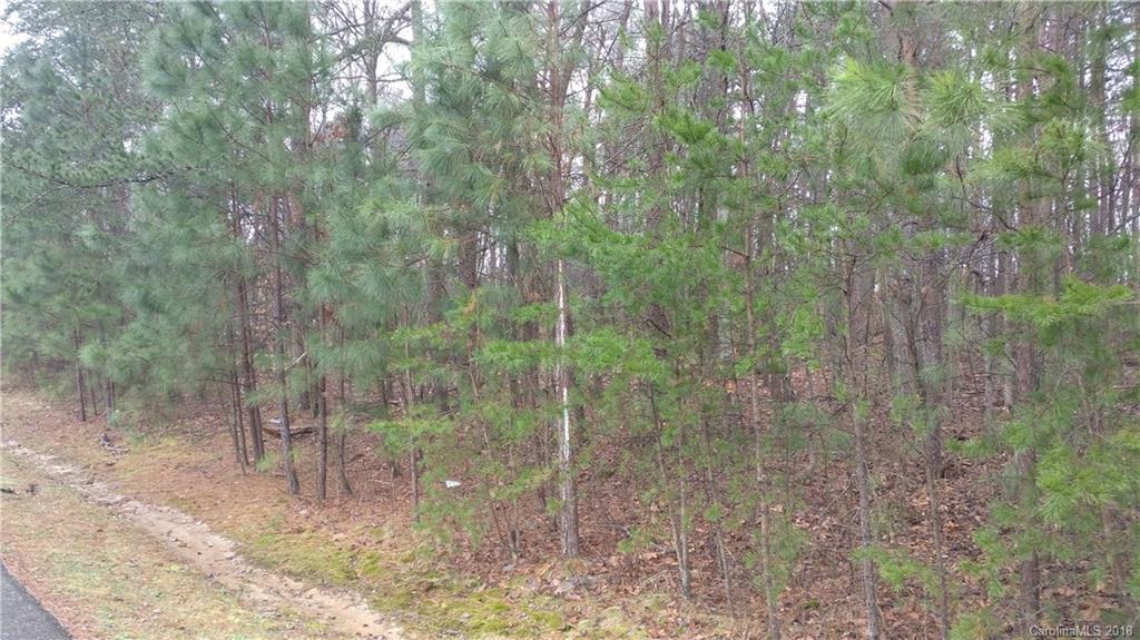 Lot # 2 Wrenn Dr., Denver, NC 28037