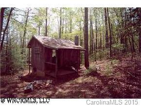 00 Mountain Cove Road, Bat Cave, NC 28710