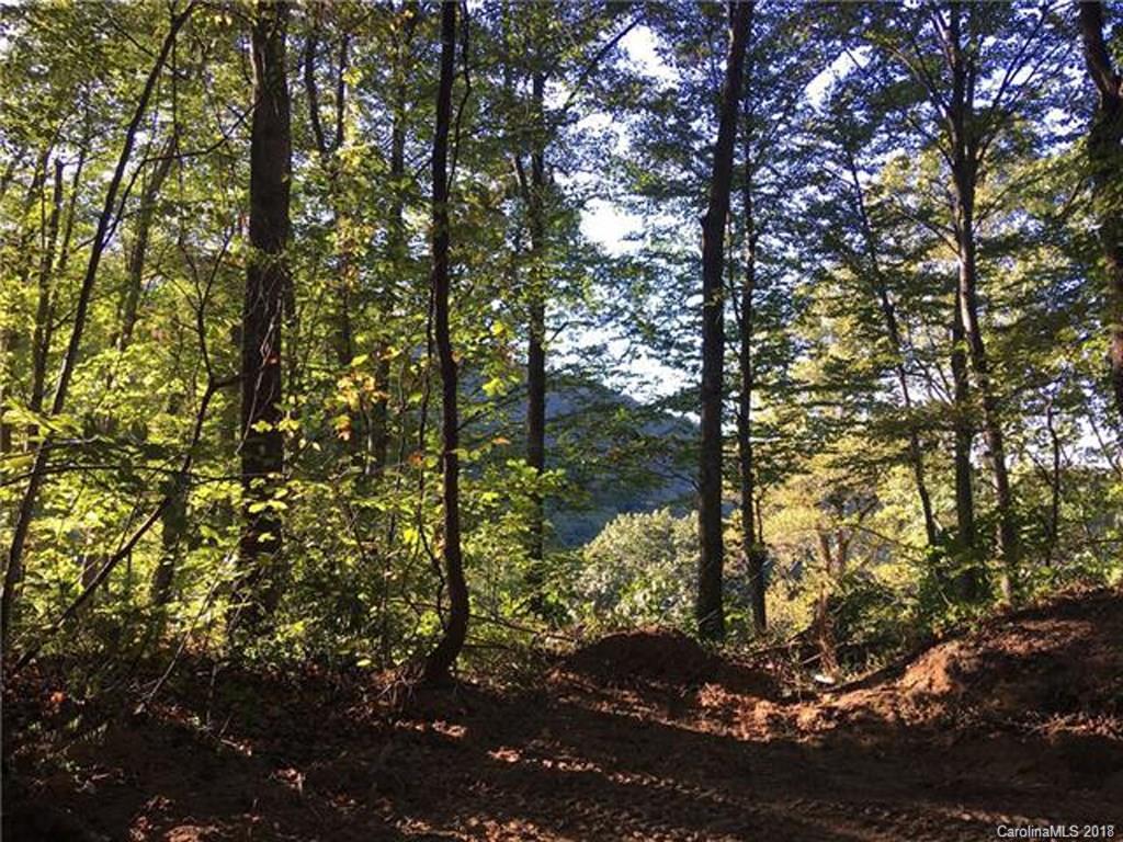 99999 Running Ridge Rd., Asheville, NC 28804