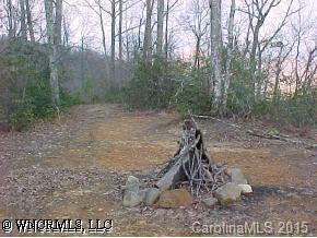 Lots 4/5 Wood Laurel, Waynesville, NC 28785