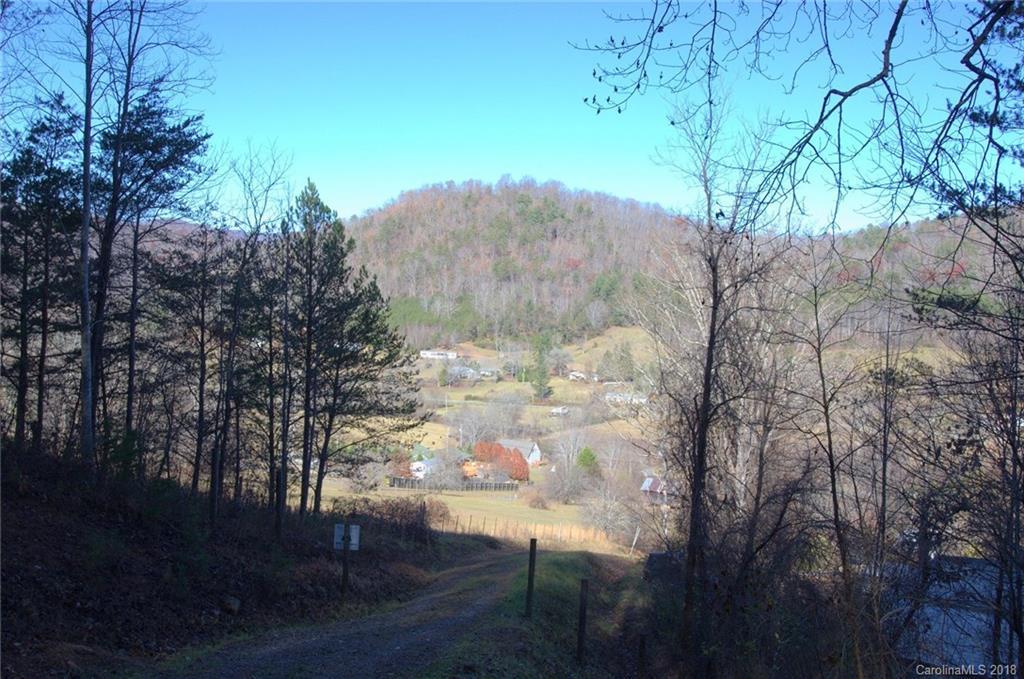 99999 Barberry Acres None, Candler, NC 28715