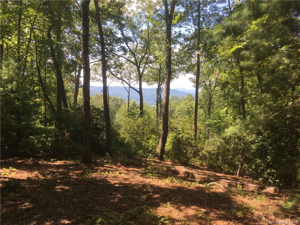 tbd Valley Oak Rd. #Tract 3, 10.51+/- AC, Hendersonville, NC 28739