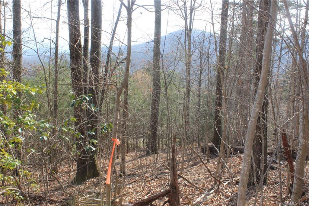 17 Wheeling Dr. #20, Candler, NC 28715