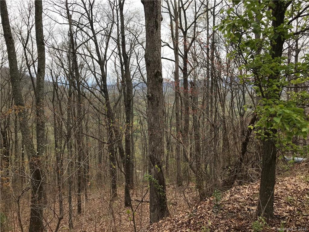 9999 Sean Dr., Swannanoa, NC 28778