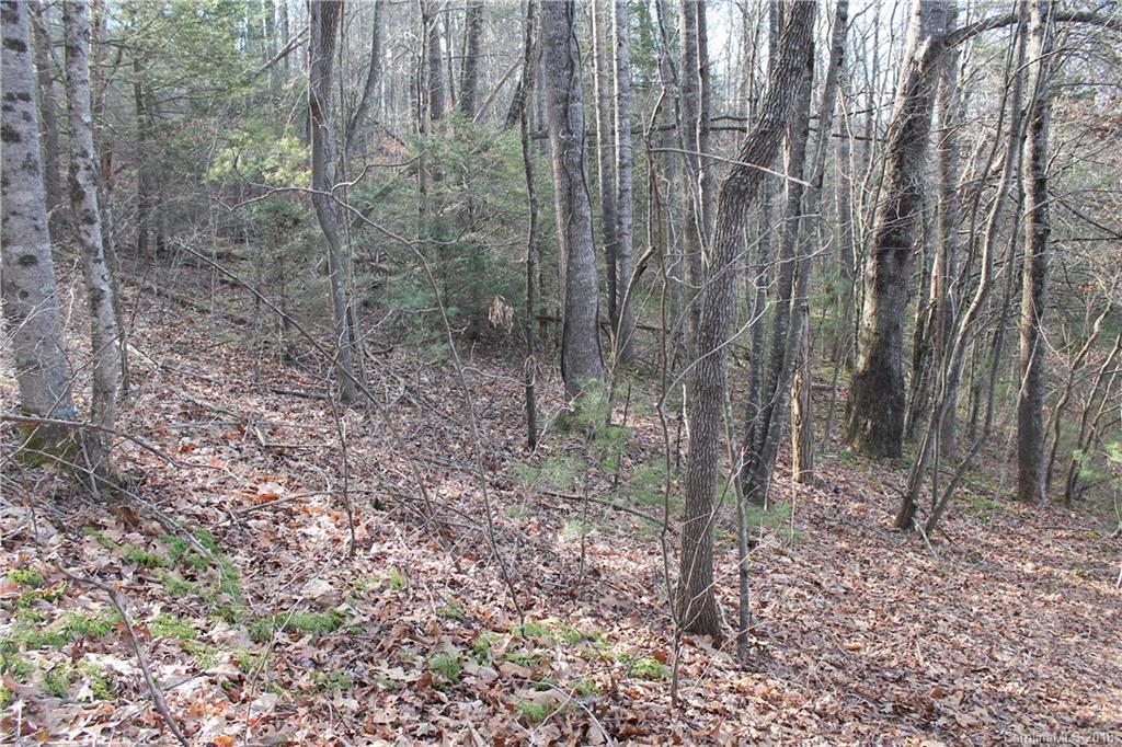 000 Liberty Church Rd., Waynesville, NC 28785