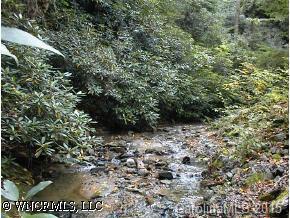 67 Hominy Branch Road, Bat Cave, NC 28710