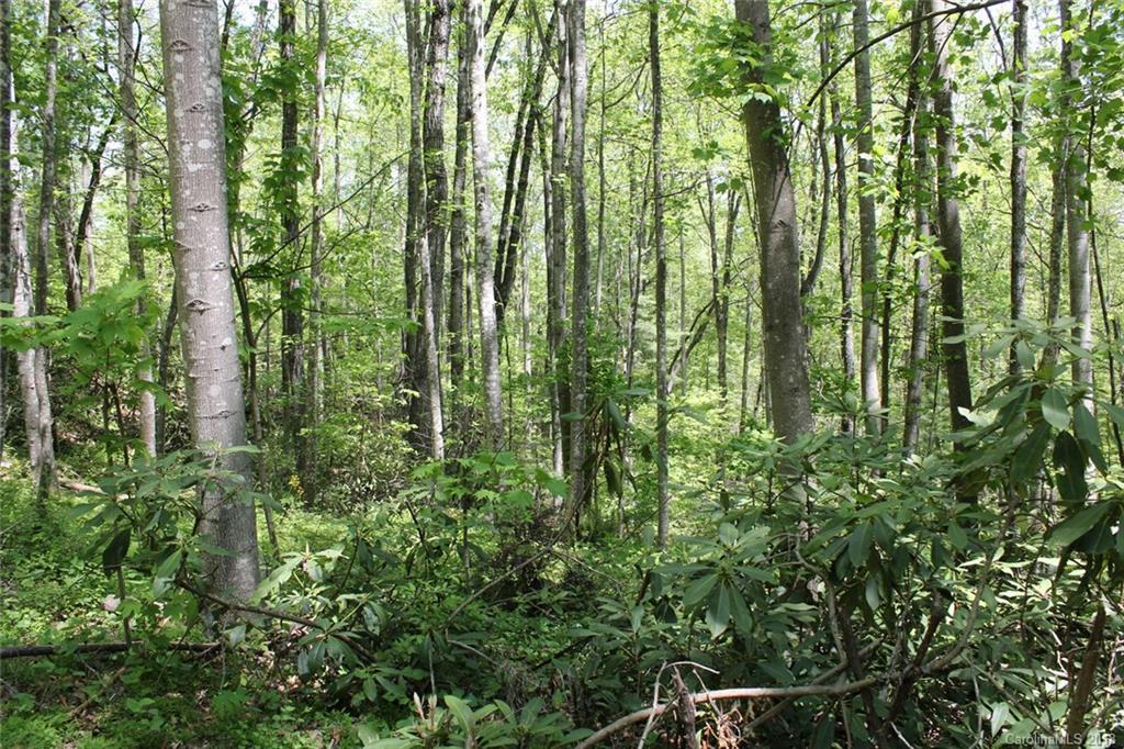 6 Park Knoll Dr., Hendersonville, NC 28792