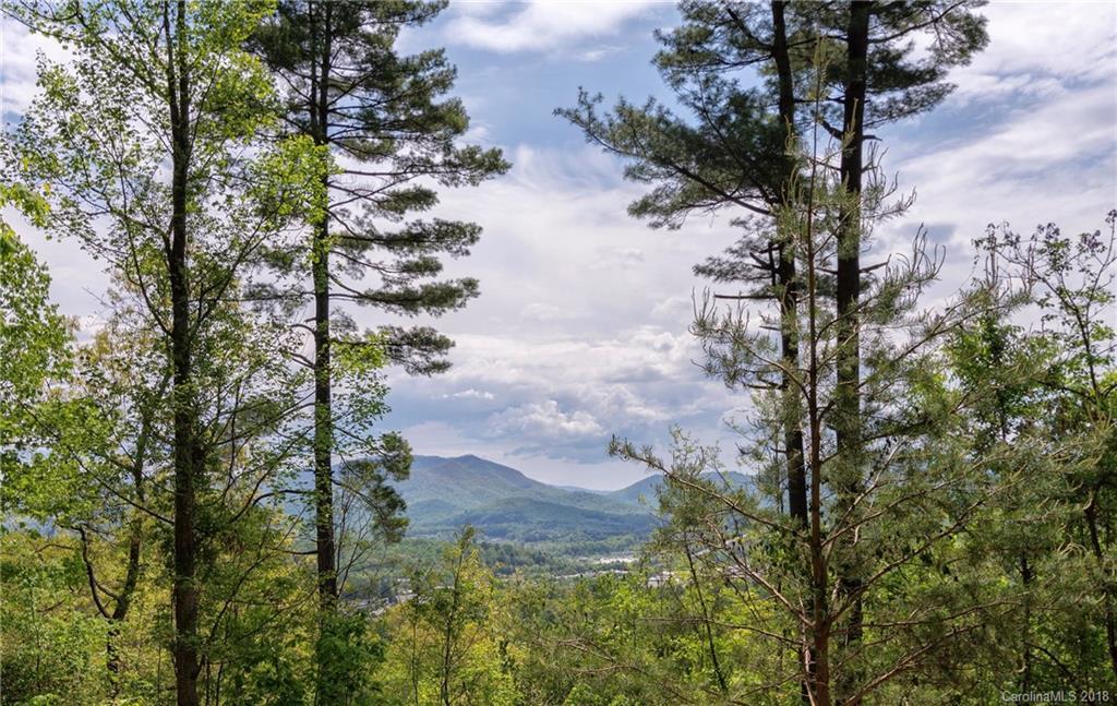 4 and 5 Wadsworth Pl., Asheville, NC 28805