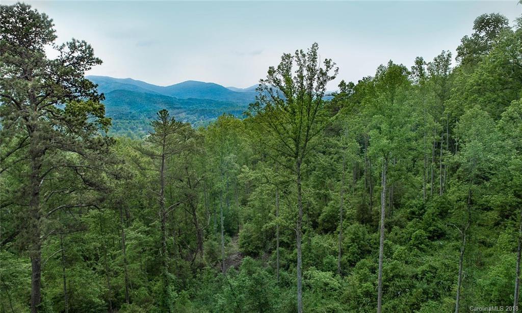 307 E Dillingham Cir., Asheville, NC 28805
