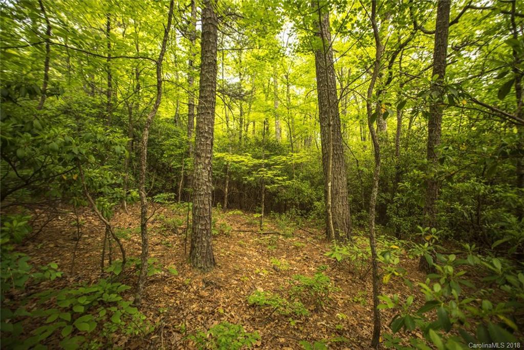 TBD Rolling Ridge Tr. #18, Black Mountain, NC 28711