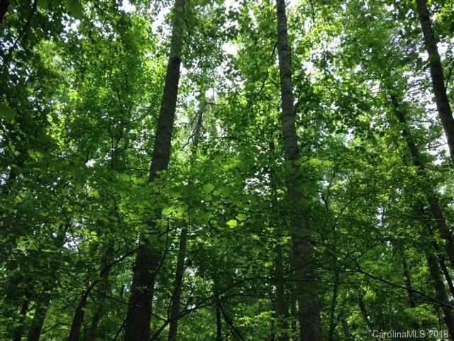 Red Leaf Ln., China Grove, NC 28023