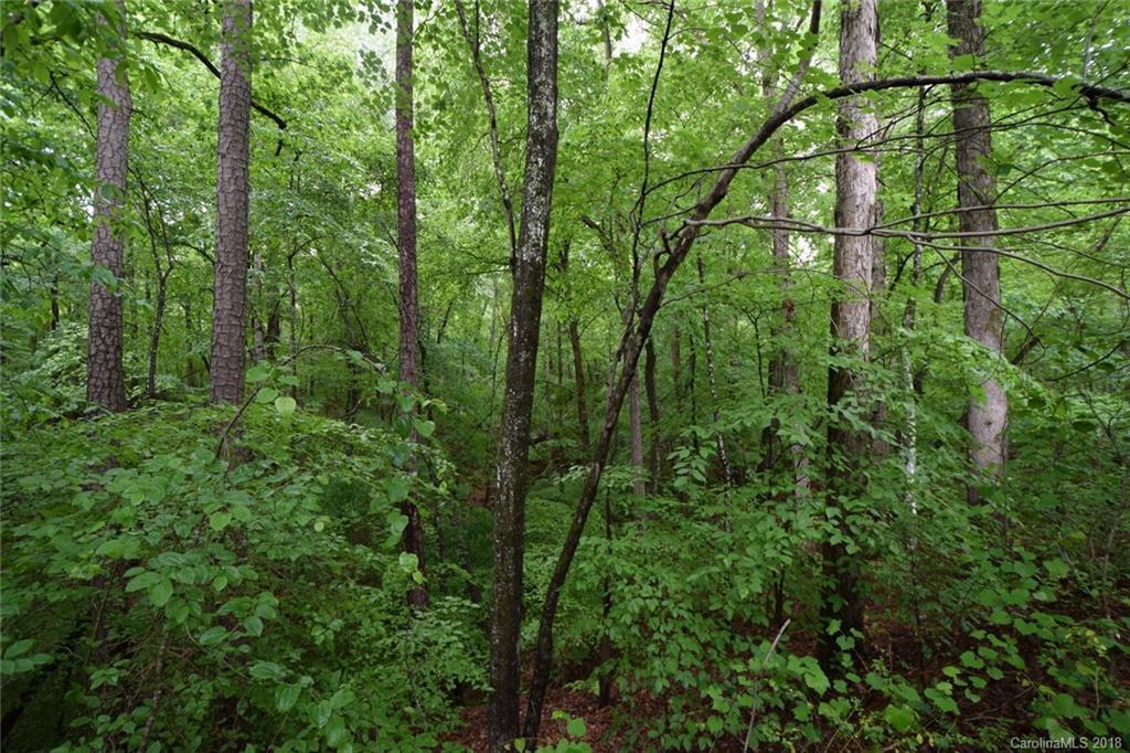 11 Acres Ingleside Dr., Sherrills Ford, NC 28673