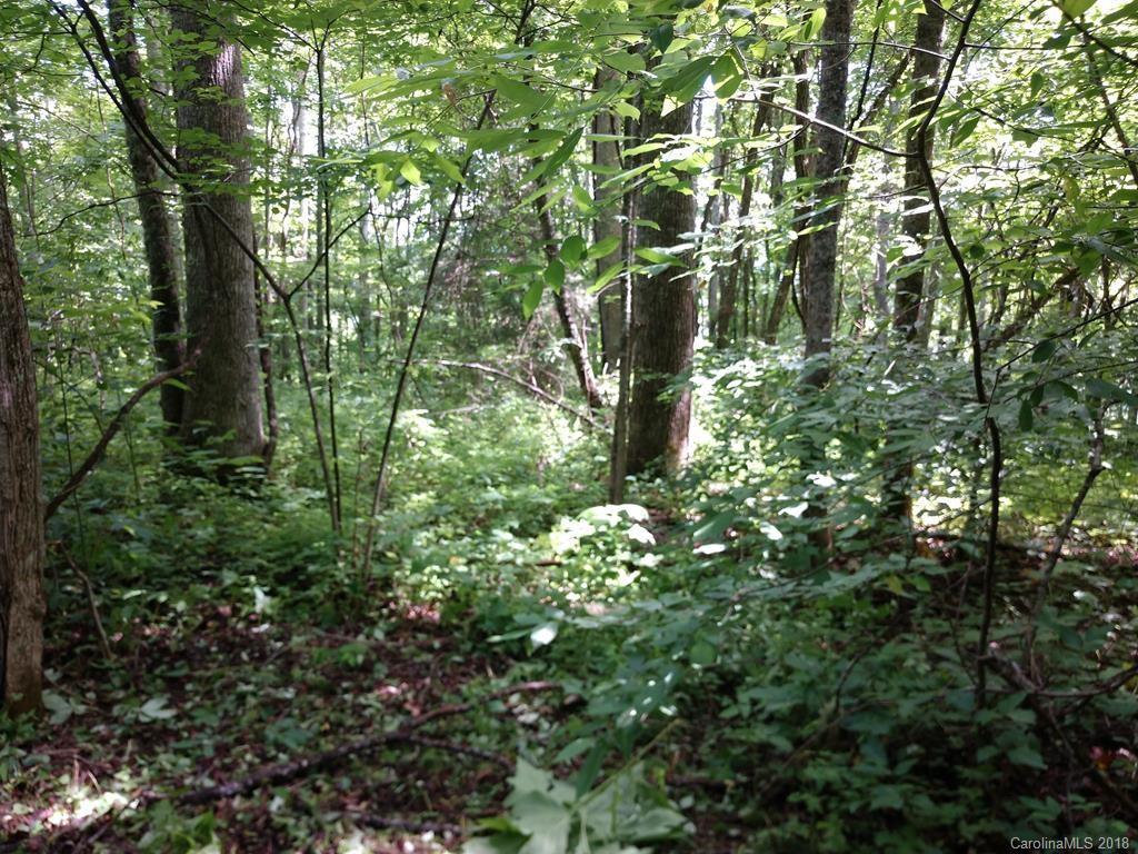 1159 Conley Mountain Association Rd., Bryson City, NC 28713
