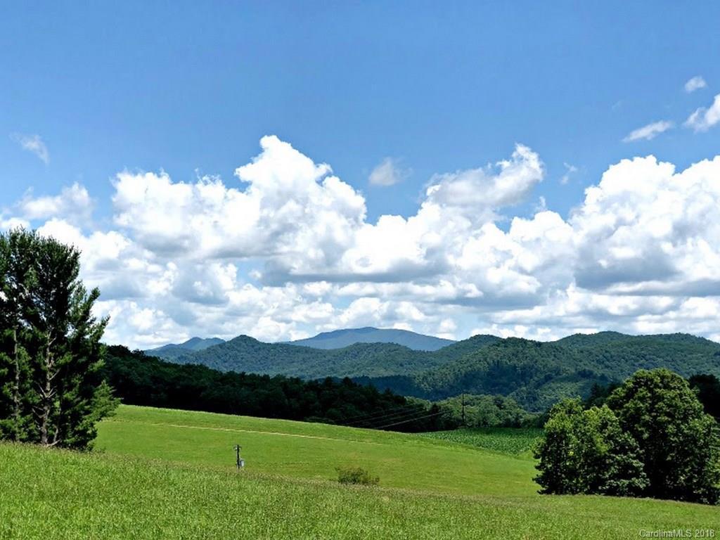 00 Hall Rd., Green Mountain, NC 28740
