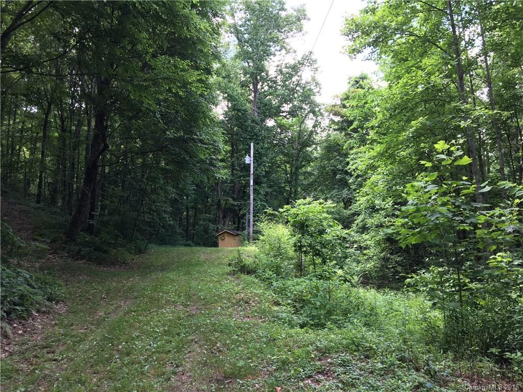 TBD Pelican Pl., Waynesville, NC 28786