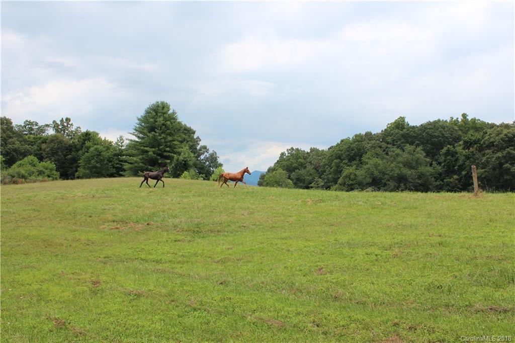 45 Josiah Ln., Fletcher, NC 28732