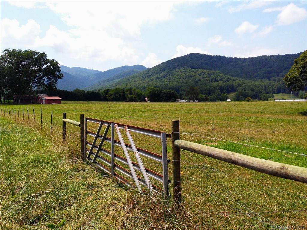 28 Davis Creek Rd., Candler, NC 28715