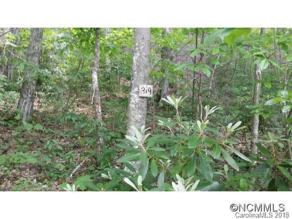 Lot 319 Hawk Nest Rd., Maggie Valley, NC 28751