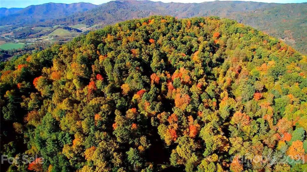 Tract 5B Rabbit Skin Rd., Waynesville, NC 28785