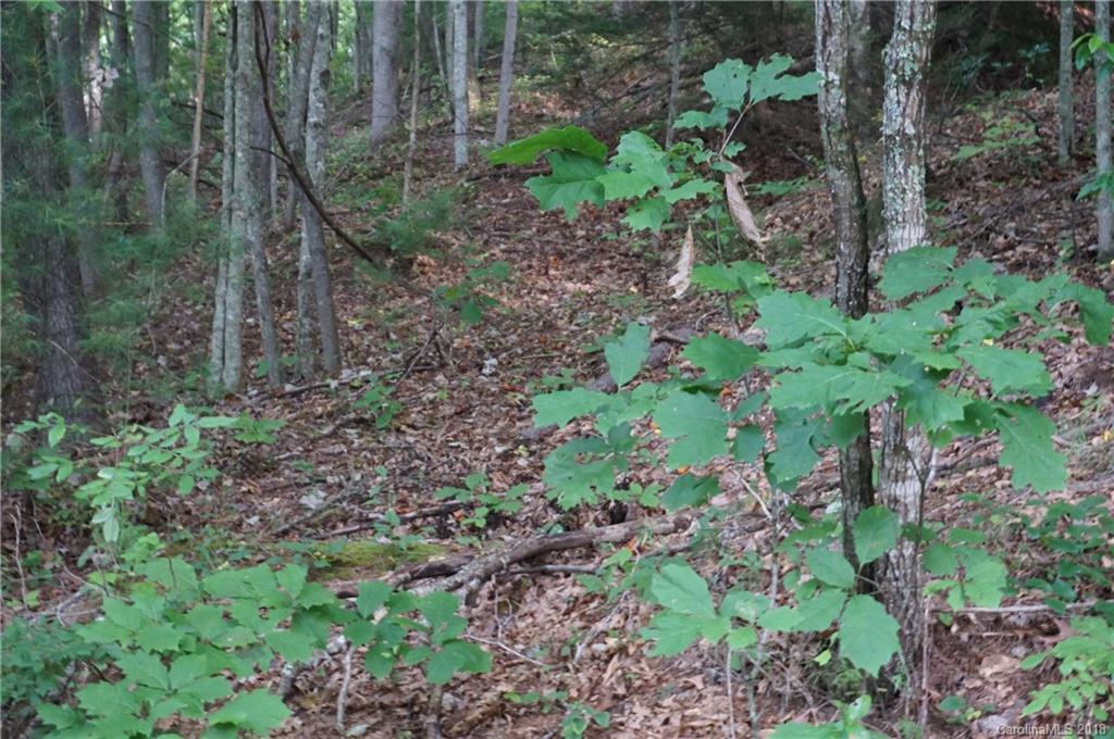 00 Hoot Owl Ridge #225, Waynesville, NC 28786