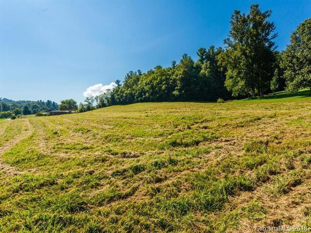 Apple Valley Rd., Hendersonville, NC 28792