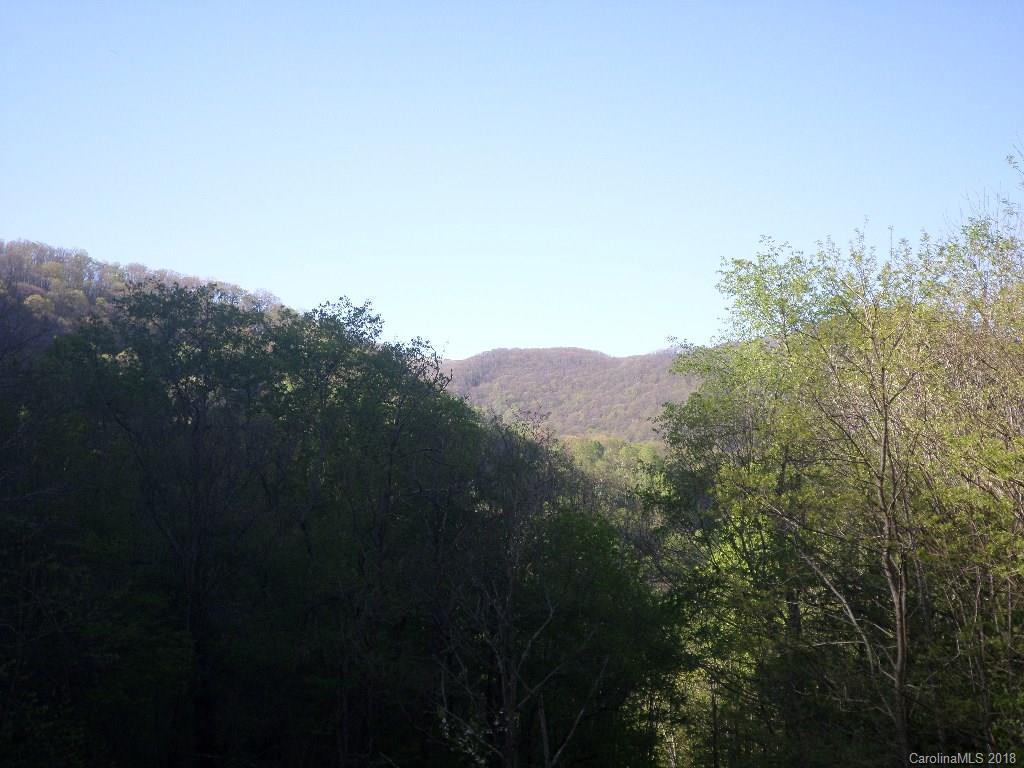00 Tumbling Fork Rd., Waynesville, NC 28786
