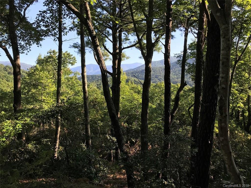 315 Chapel Rd., Black Mountain, NC 28711