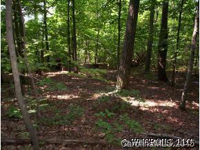 9 Shady Woods Lane, Rutherfordton, NC 28139