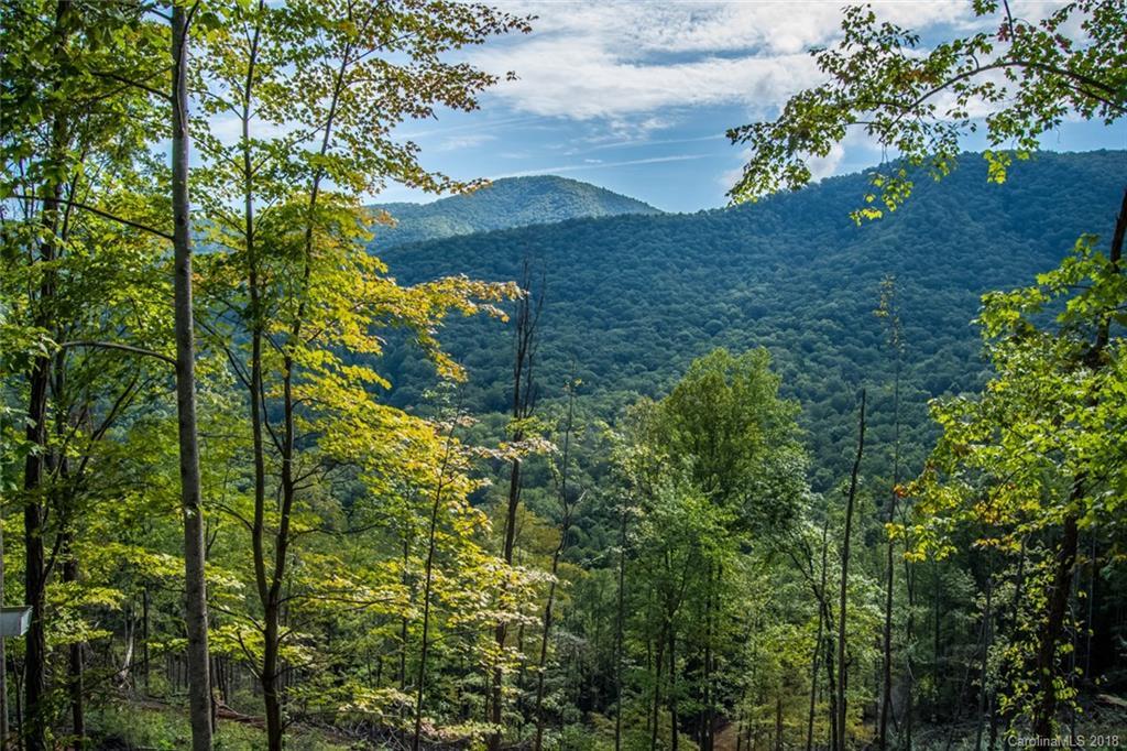 382 Black Oak Cove Rd., Candler, NC 28715