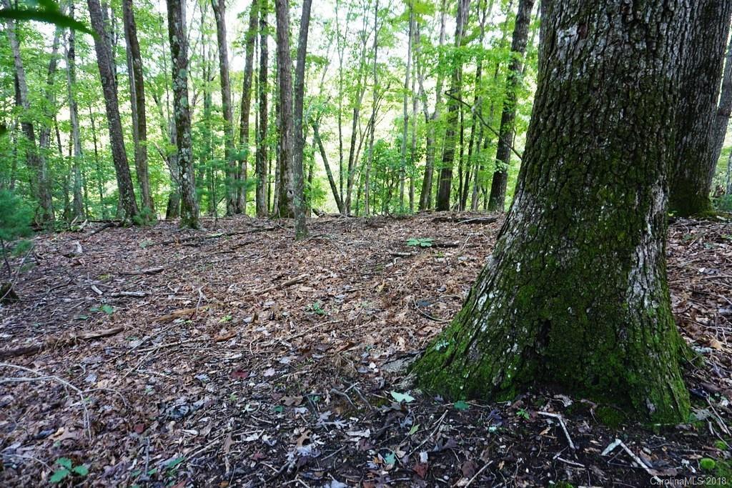 0000 Shady Grove Ln. #34-39, Lake Lure, NC 28746