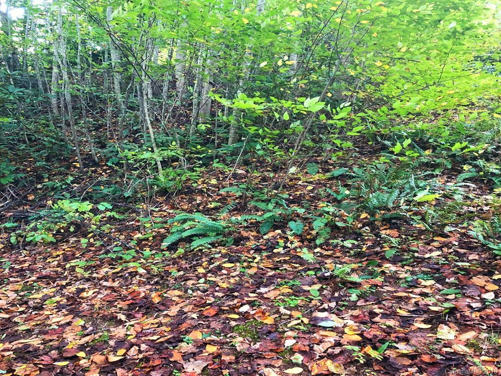 37 Deva Tr., Waynesville, NC 28786