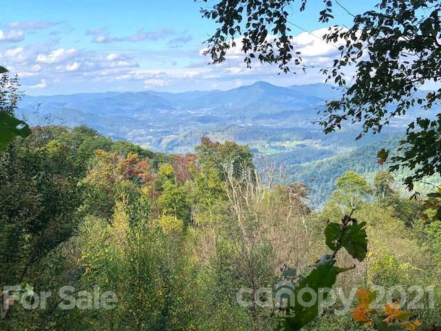 TBD Presidential Dr., Waynesville, NC 28786