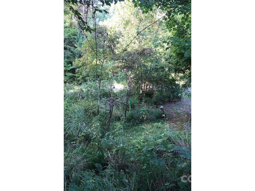 000 Mockingbird Dr., Hendersonville, NC 28792