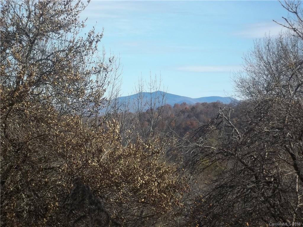Silas Branch Rd., Burnsville, NC 28714