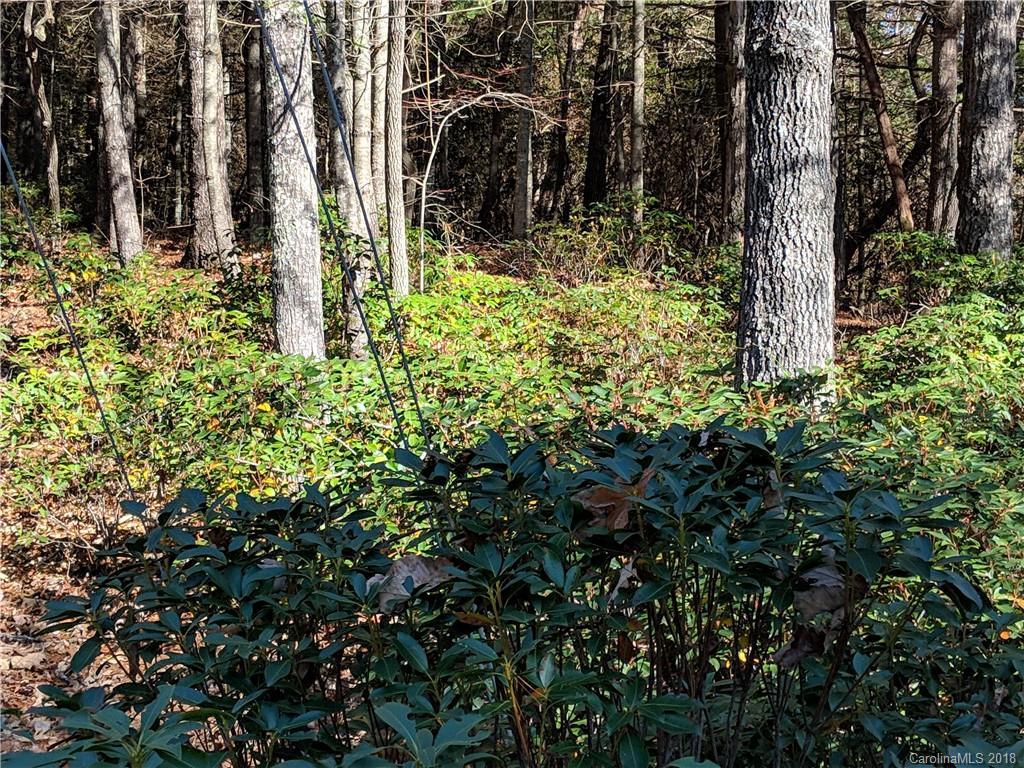 1047 Folly Rd., Hendersonville, NC 28739