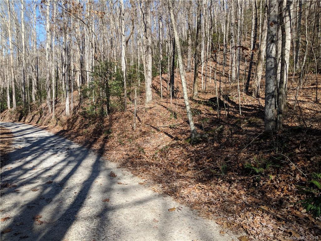 Courtney Dr., Hendersonville, NC 28791