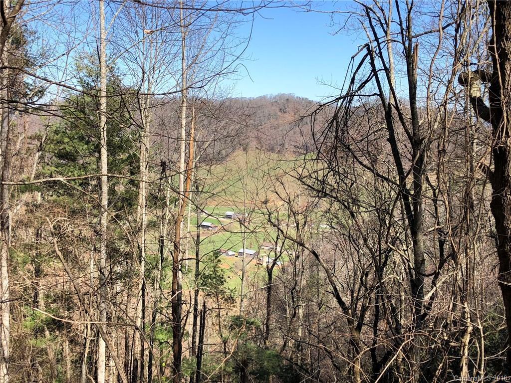 TBD Dan Ledbetter Rd., Leicester, NC 28748